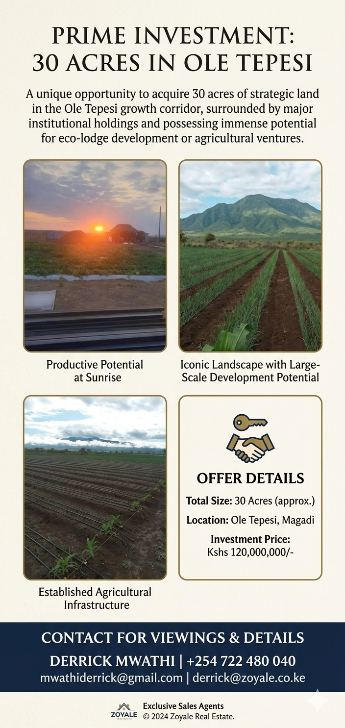 30 acres of Prime Land in Ole Tepesi, Magadi